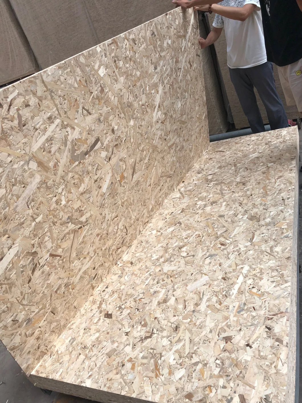 Oriented Strand Board/OSB/Particle Board