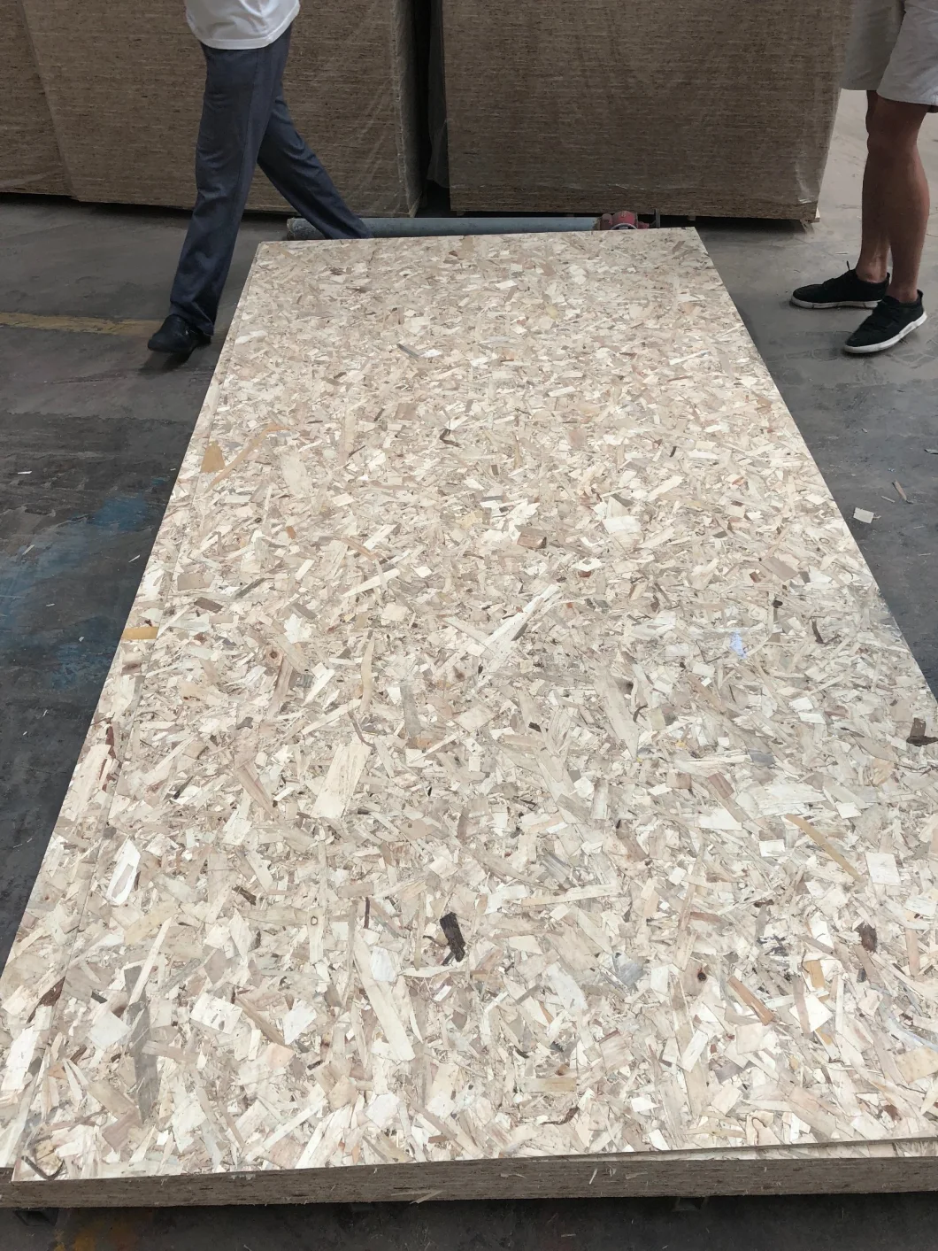 Oriented Strand Board/OSB/Particle Board