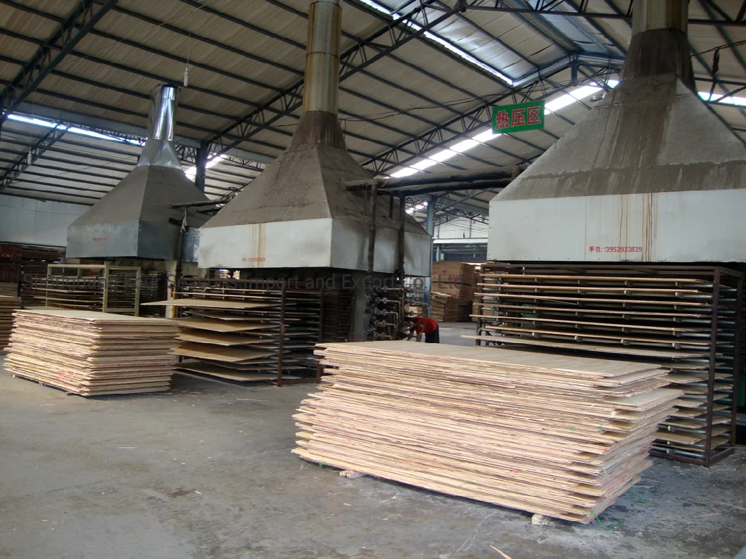 Fancy/Commercial/HPL/Melamine Plywood for Furniture and Decoration