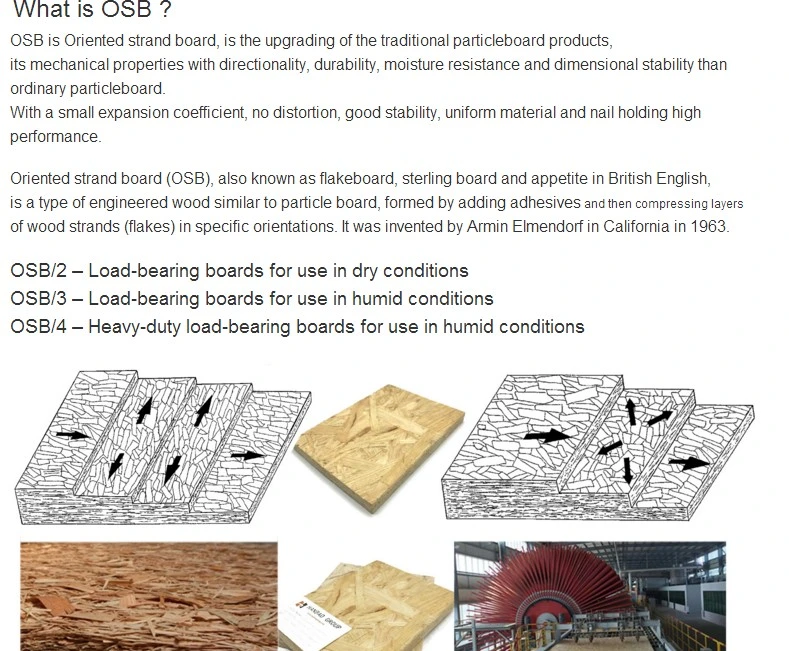 Hc Grade OSB2 Oriented Strand Board Used for Decoration Furniture Packing/OSB2 /OSB3