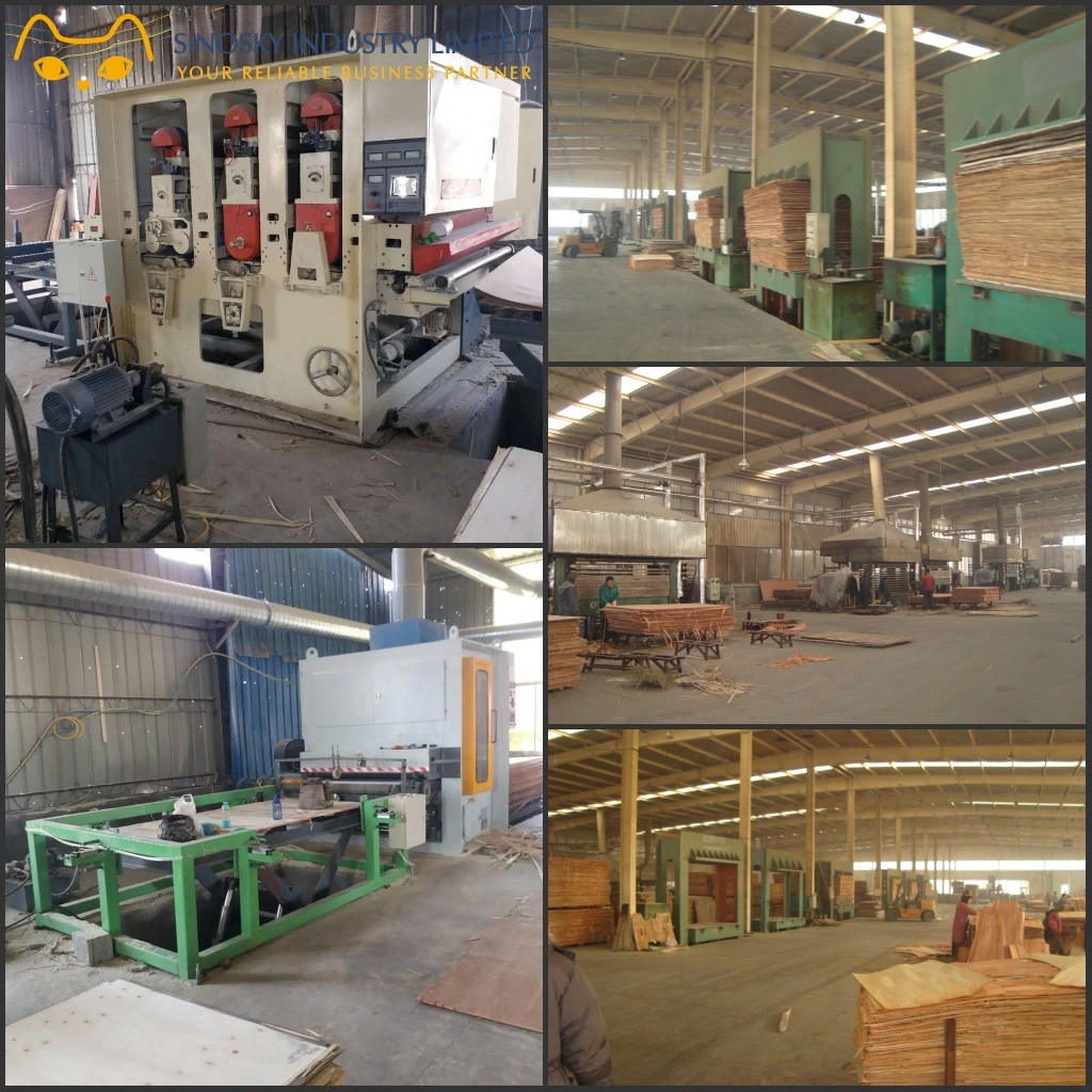 Linyi Factory Supply 0.5mm 0.6mm 0.7mm 0.8mm 0.9mm 1mm 1.2mm Fireproof HPL Melamine Laminate Sheet Plywood