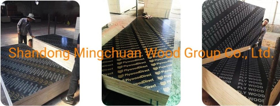 18mm Hardwood PP Plywood Green PP Plastic Film Faced Plywood