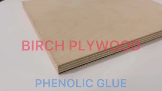 Engineering Special Decorative Formica Wood HPL Fireproof Plywood