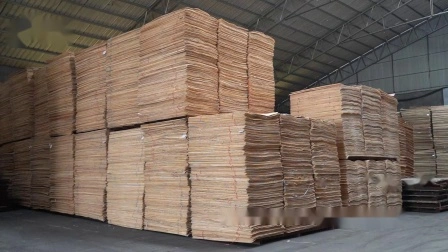 Film Faced Plywood/Marine Plywood/Construction Plywood/ with Cheap Price