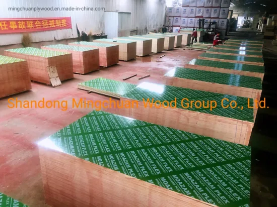 18mm Plastic PP Film Faced Plywood PVC Board Building Materials Combi Plywood